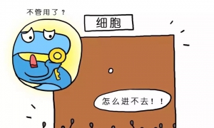 中国2型糖尿病患者 高发胰岛素抵抗——原因分析及应对