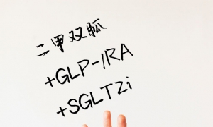 成人2型糖尿病患者 三联用药优化方案
