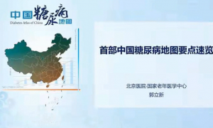 首部「中国糖尿病地图」要点速览一