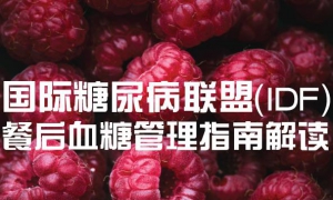 餐后血糖管理指南解读